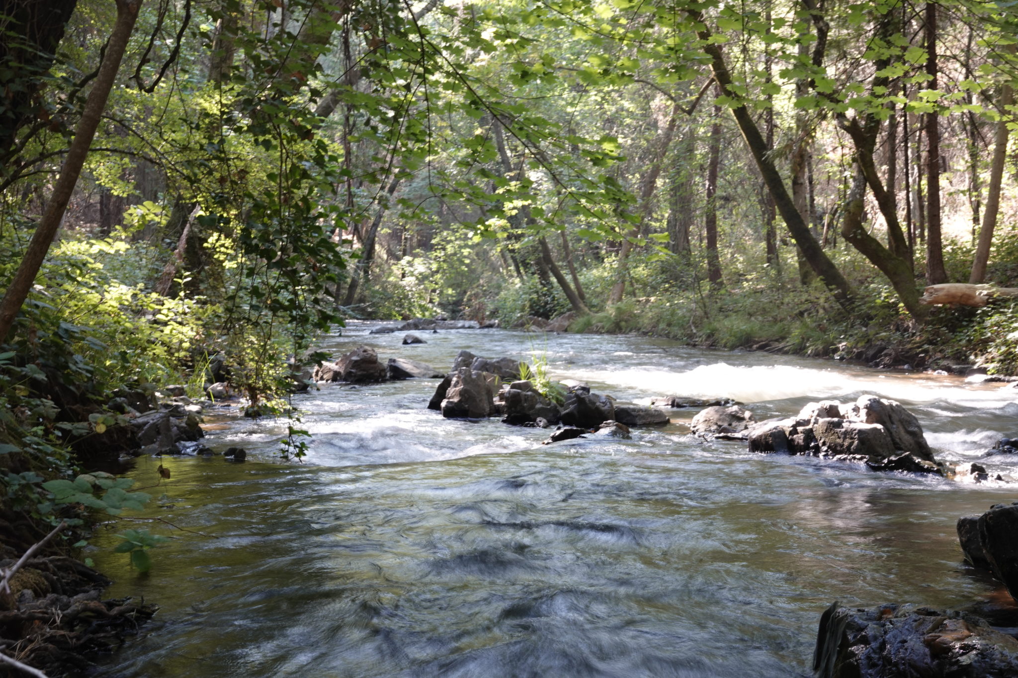 Wolf Creek Trail Extension - Wolf Creek Community Alliance