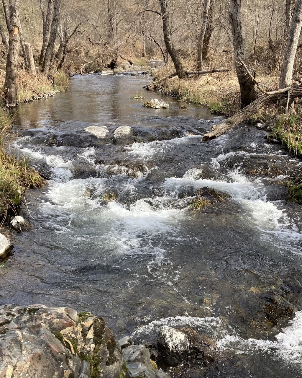 Stream Monitoring