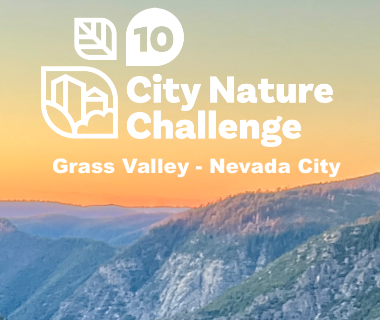 Wolf Creek Community Alliance